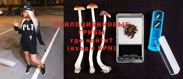 амф Белокуриха